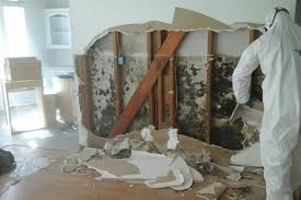 Revitalizing Your Home’s Interior After A Flood Incident Occurs