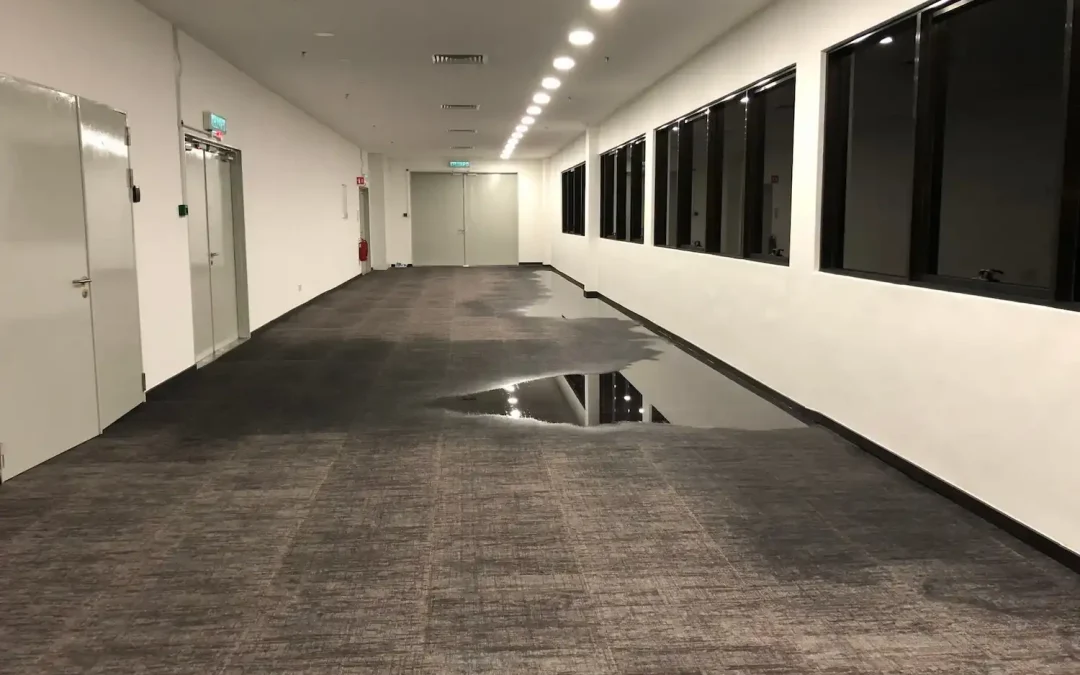 Restoring Your Business After Water Damage Occurs