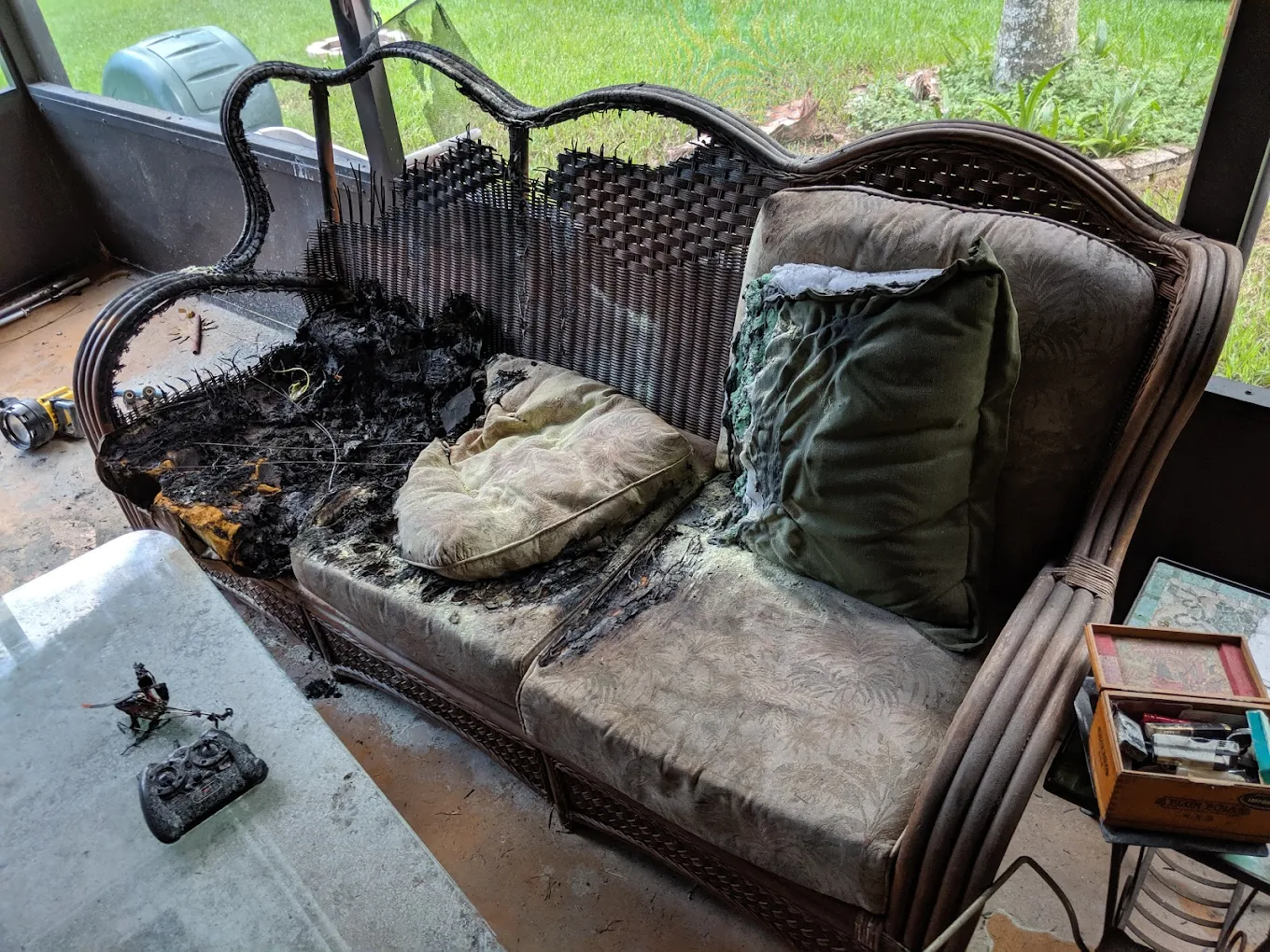 Mold remediation Jacksonville