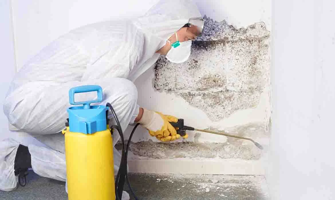 Mold cleanup